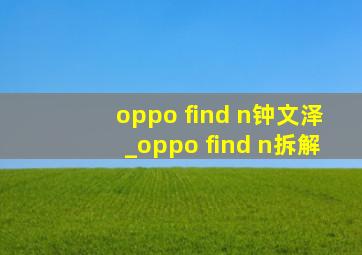 oppo find n钟文泽_oppo find n拆解